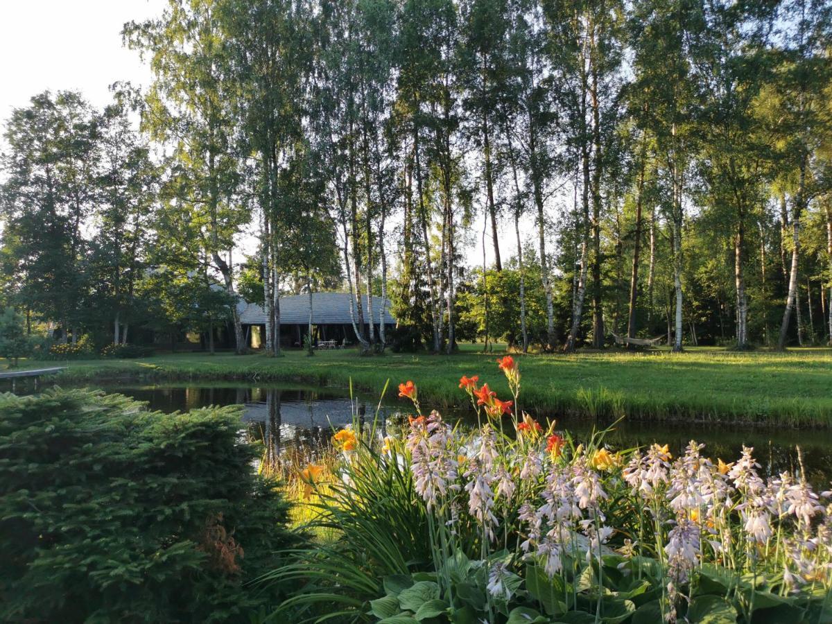 Kupolmaja Arpus Laika - Domehouse In The Forest Tinuzi Exterior photo