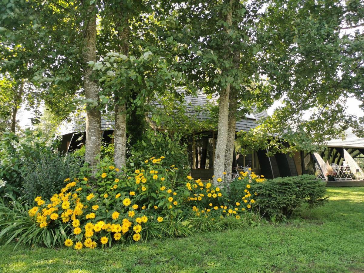 Kupolmaja Arpus Laika - Domehouse In The Forest Tinuzi Exterior photo