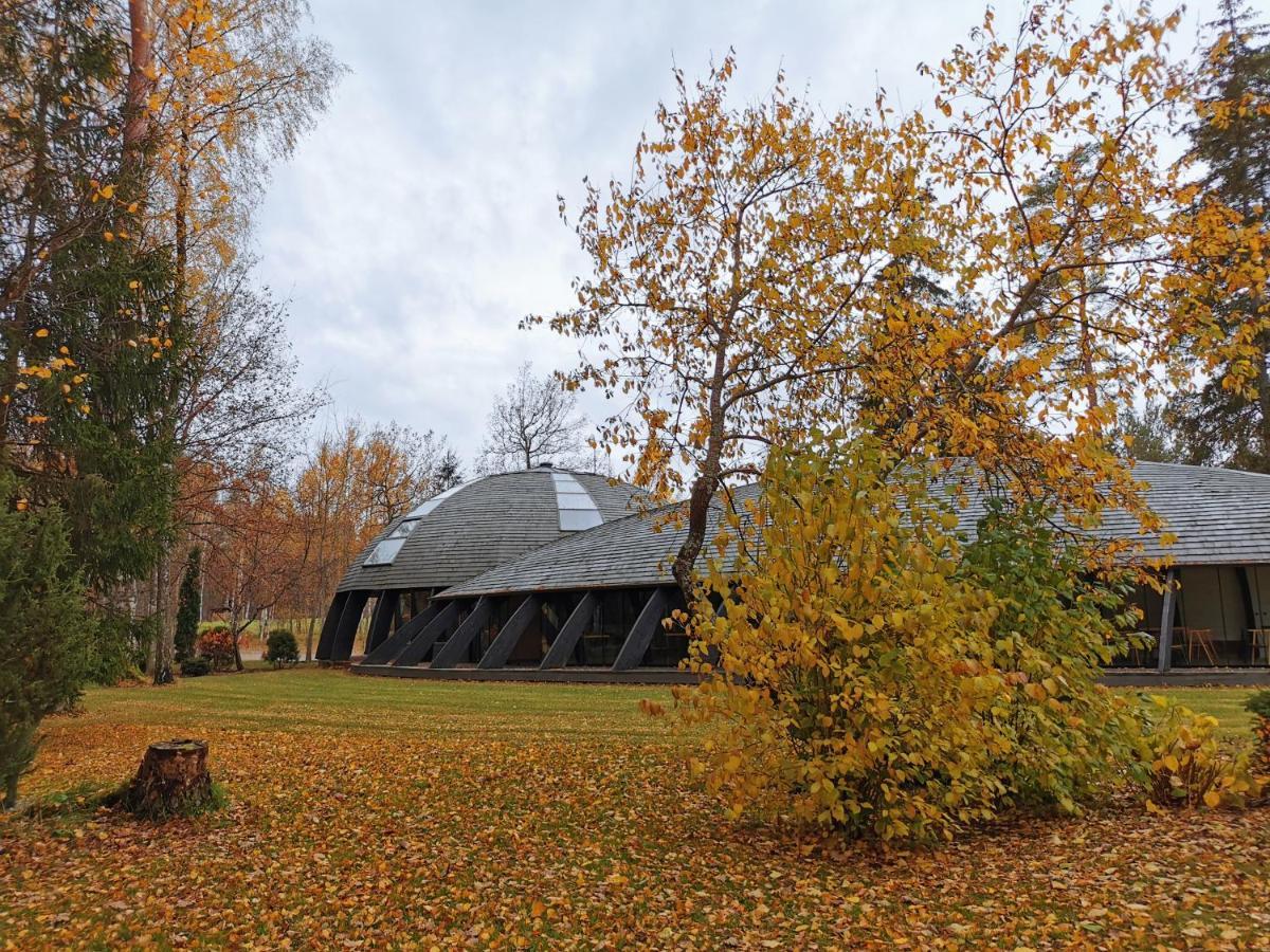 Kupolmaja Arpus Laika - Domehouse In The Forest Tinuzi Exterior photo