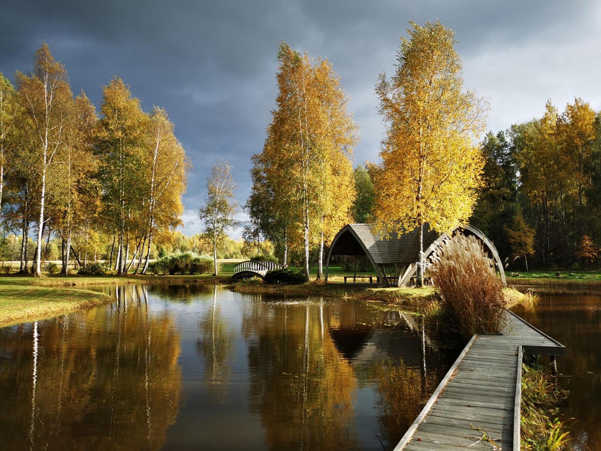 Kupolmaja Arpus Laika - Domehouse In The Forest Tinuzi Exterior photo